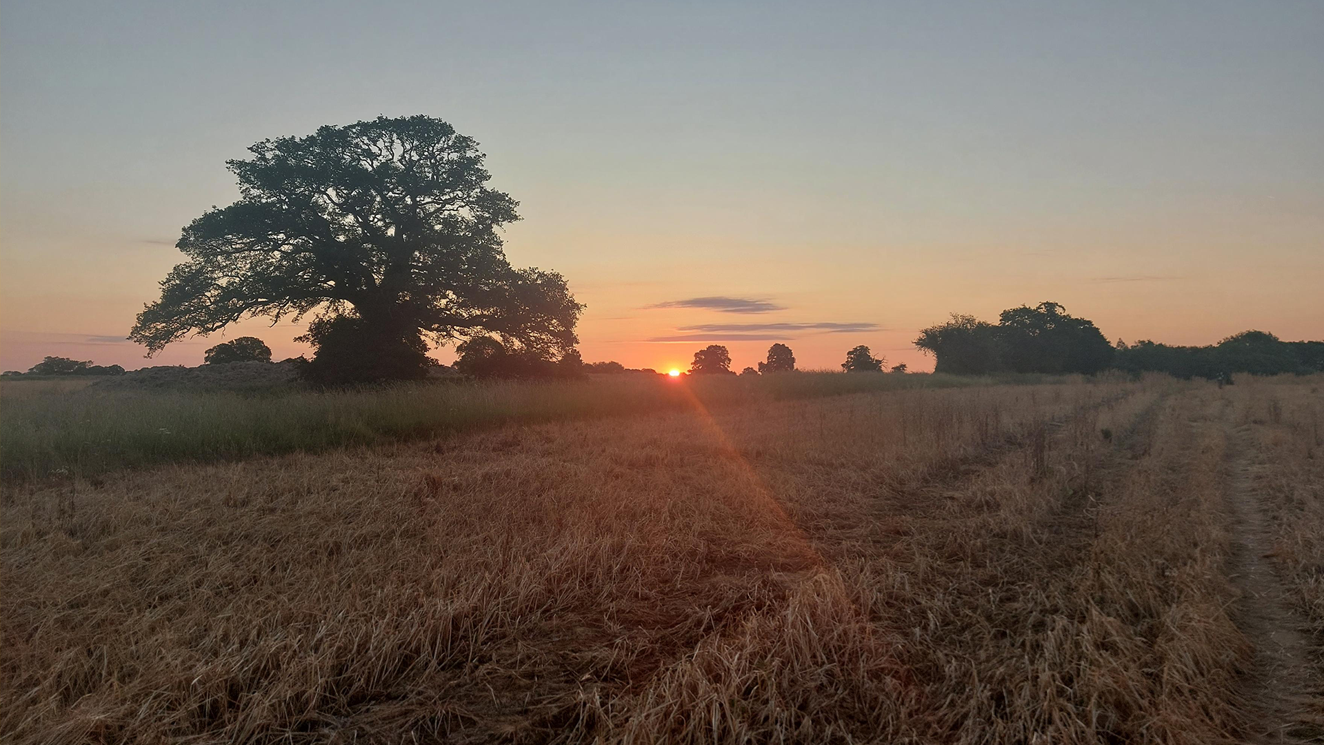 A view of the sunset on Tony's trail.